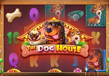 Игра The Dog House в казино Лайт